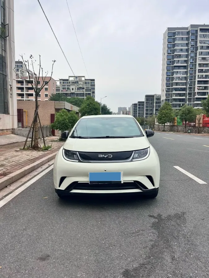 2025 BYD Dolphin BEV 44.928KWH,autocango,china used car exporter,china ev exporter,chinese used car exporter,chinese used ev exporter