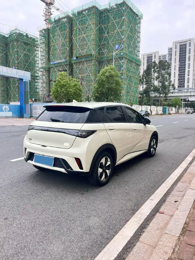 2025 BYD Dolphin BEV 44.928KWH,autocango,china used car exporter,china ev exporter,chinese used car exporter,chinese used ev exporter