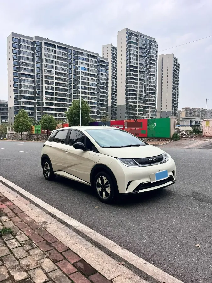 2025 BYD Dolphin BEV 44.928KWH,autocango,china used car exporter,china ev exporter,chinese used car exporter,chinese used ev exporter