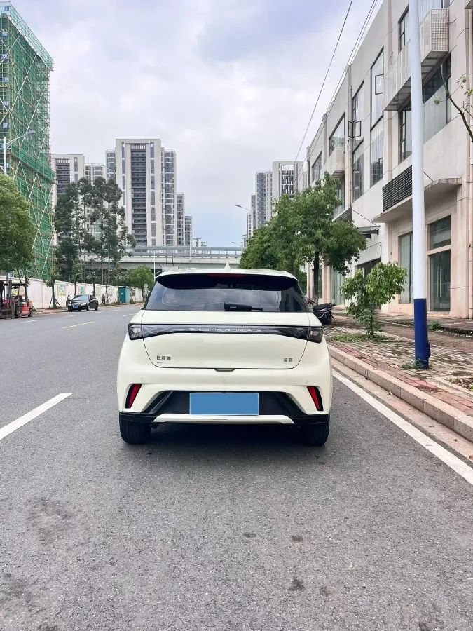 2025 BYD Dolphin BEV 44.928KWH,autocango,china used car exporter,china ev exporter,chinese used car exporter,chinese used ev exporter