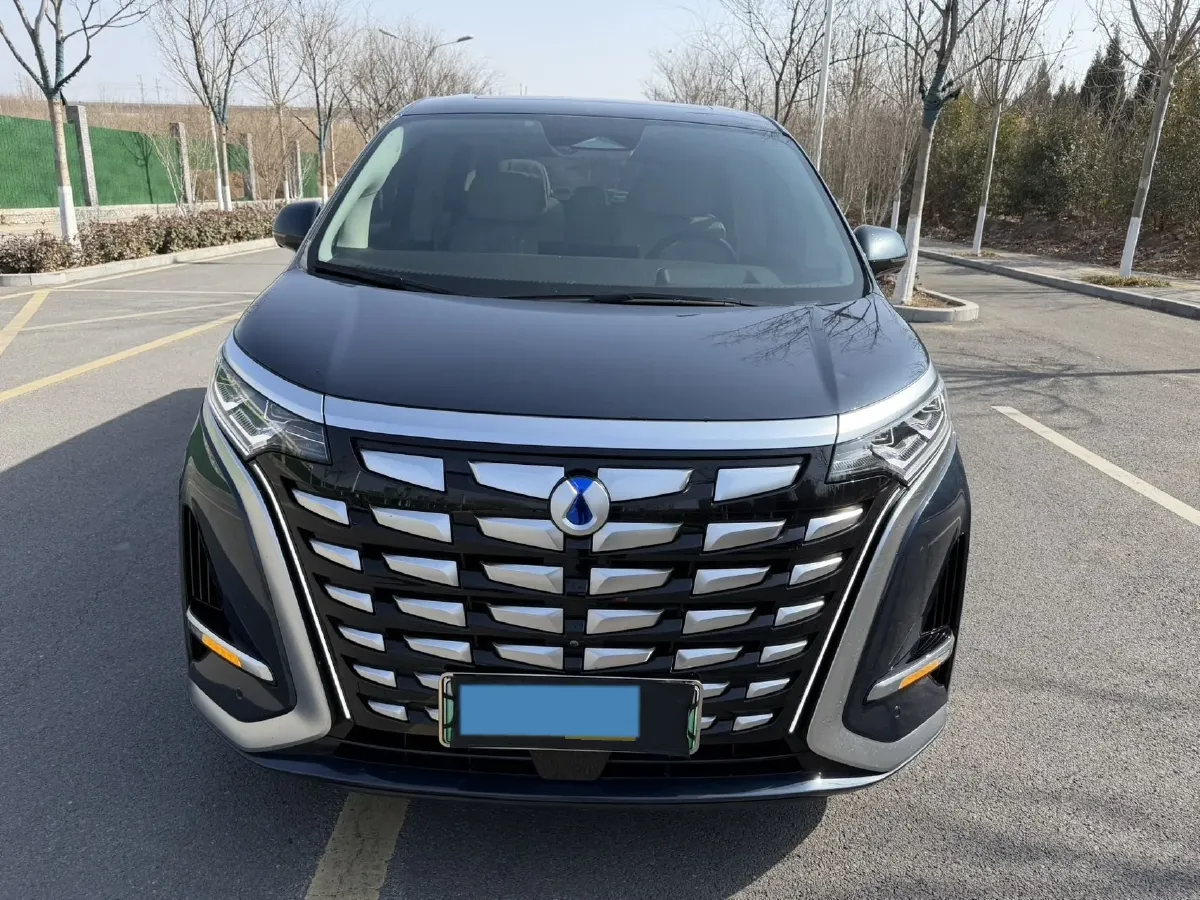 2024 Denza D9 1.5T 139HP L4 E-CVT PHEV 40KWH,autocango,china used car exporter,china ev exporter,chinese used car exporter,chinese used ev exporter