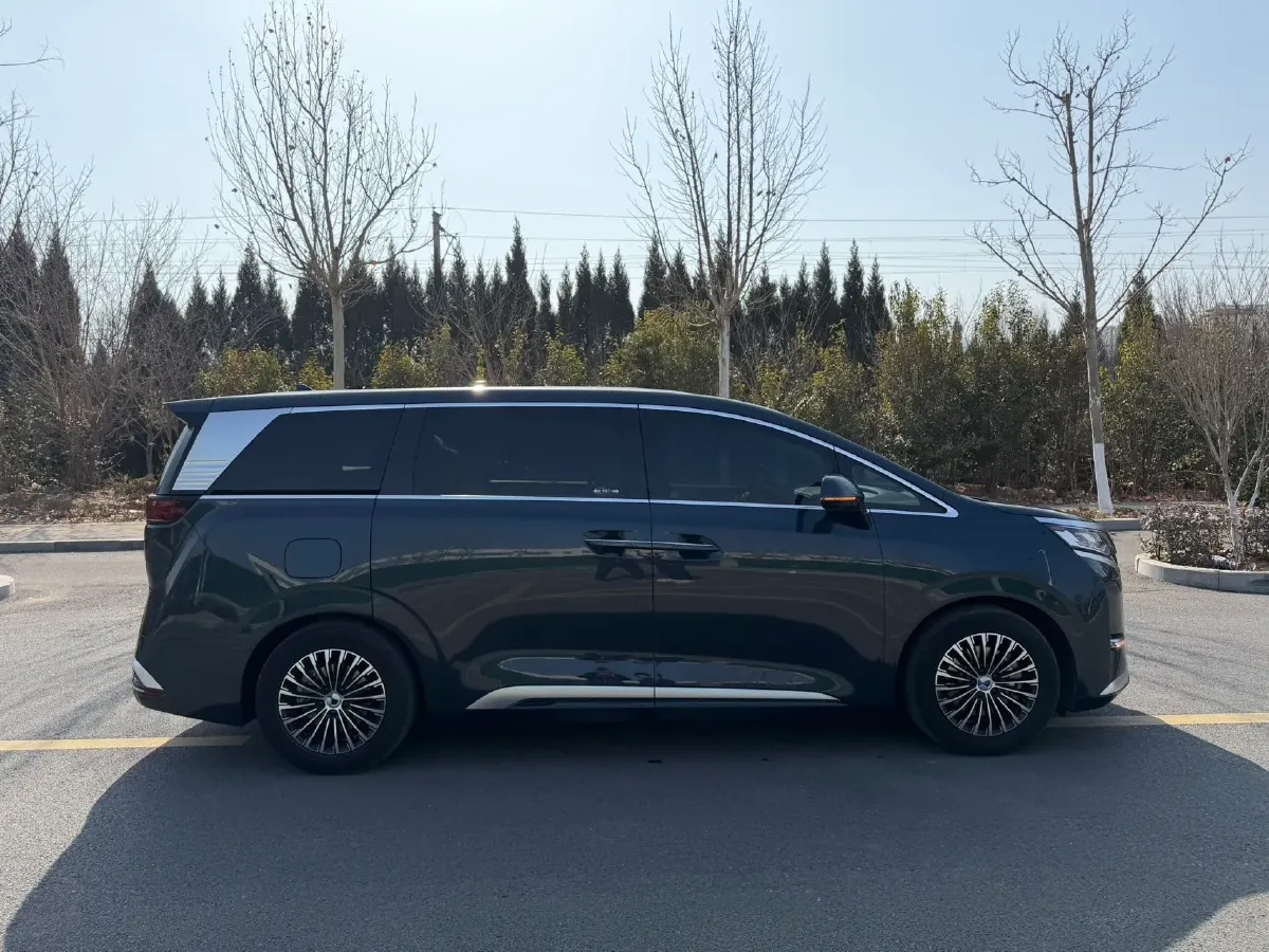 2024 Denza D9 1.5T 139HP L4 E-CVT PHEV 40KWH,autocango,china used car exporter,china ev exporter,chinese used car exporter,chinese used ev exporter