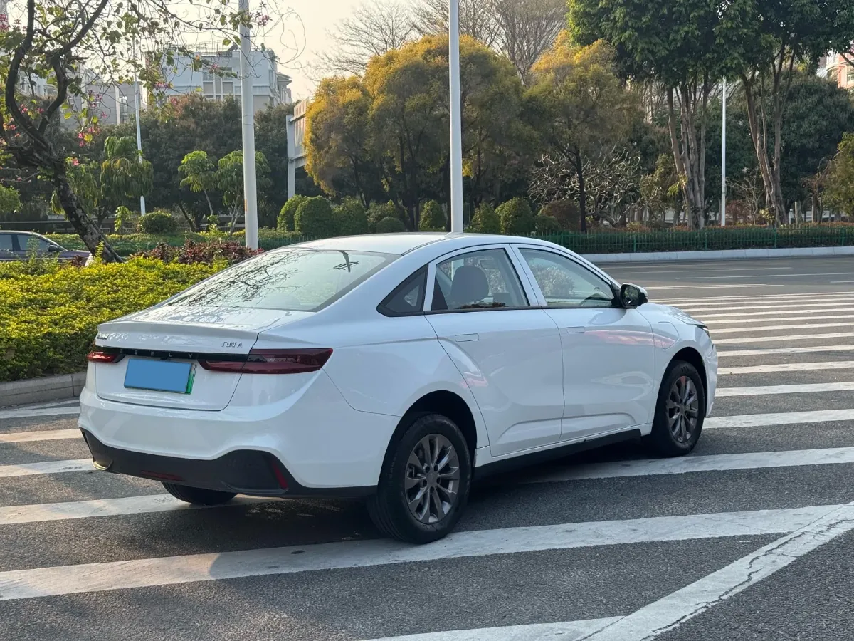 2024 Geometry A BEV 46.11KWH,autocango,china used car exporter,china ev exporter,chinese used car exporter,chinese used ev exporter