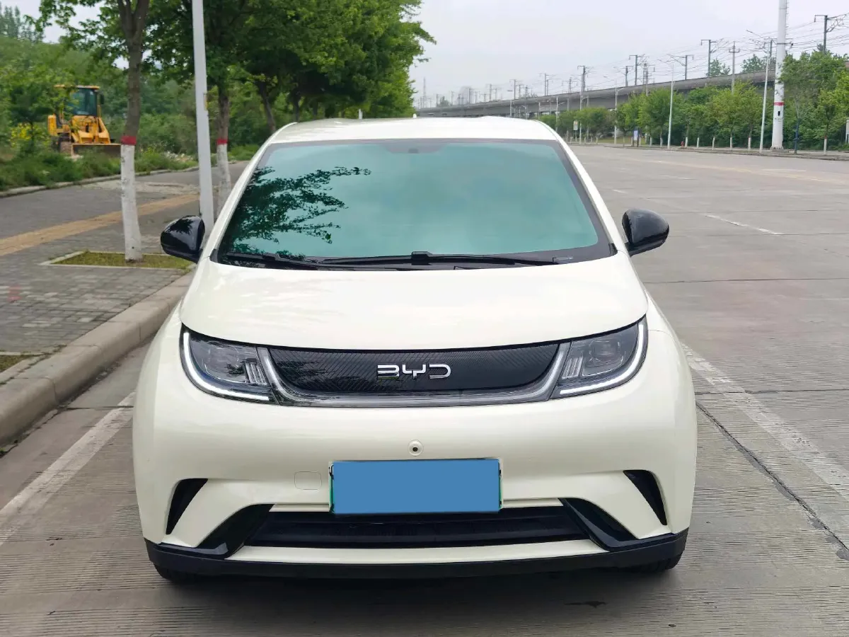 2025 BYD Dolphin BEV 44.928KWH,autocango,china used car exporter,china ev exporter,chinese used car exporter,chinese used ev exporter