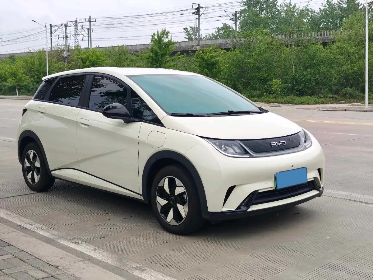 2025 BYD Dolphin BEV 44.928KWH,autocango,china used car exporter,china ev exporter,chinese used car exporter,chinese used ev exporter