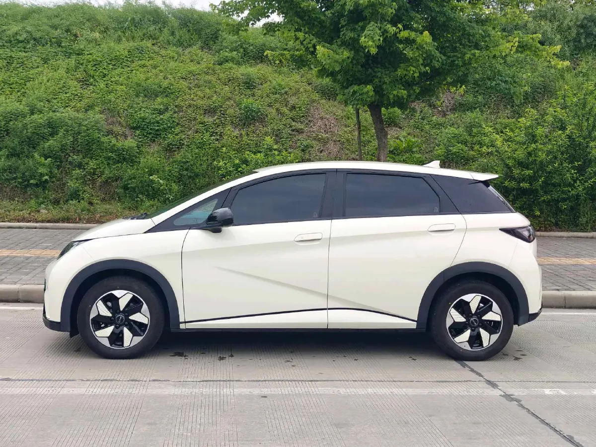2025 BYD Dolphin BEV 44.928KWH,autocango,china used car exporter,china ev exporter,chinese used car exporter,chinese used ev exporter