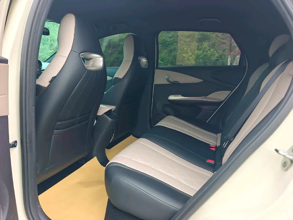 2025 BYD Dolphin BEV 44.928KWH,autocango,china used car exporter,china ev exporter,chinese used car exporter,chinese used ev exporter