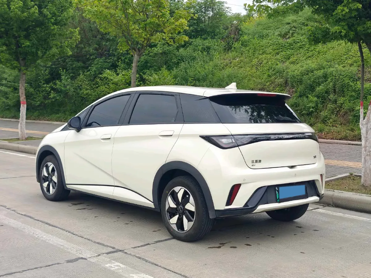 2025 BYD Dolphin BEV 44.928KWH,autocango,china used car exporter,china ev exporter,chinese used car exporter,chinese used ev exporter
