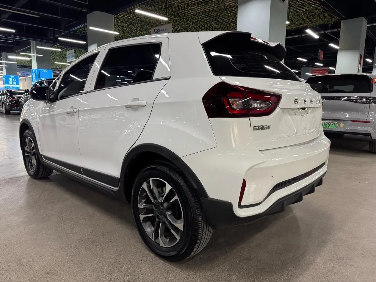 2021 Geometry EX3 BEV 37.23KWH,autocango,china used car exporter,china ev exporter,chinese used car exporter,chinese used ev exporter