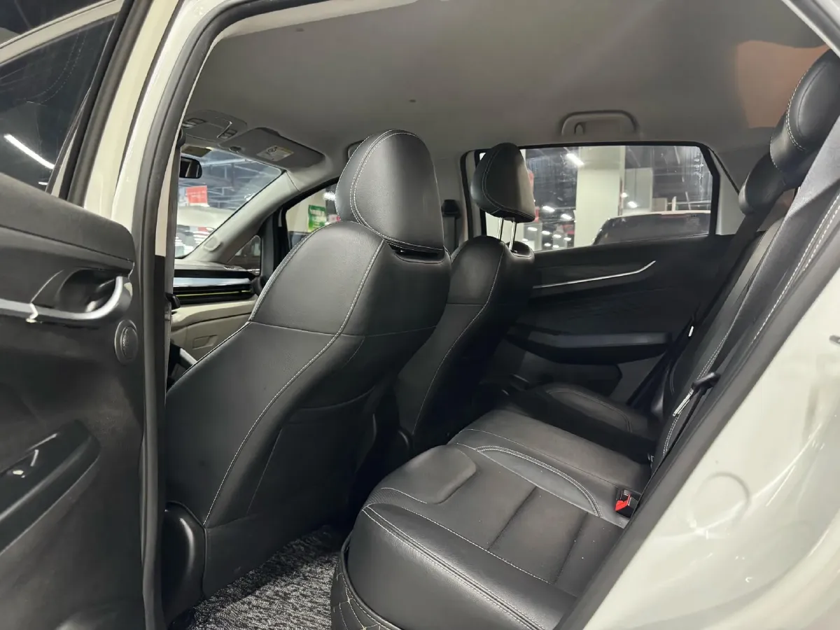 2021 Geometry EX3 BEV 37.23KWH,autocango,china used car exporter,china ev exporter,chinese used car exporter,chinese used ev exporter