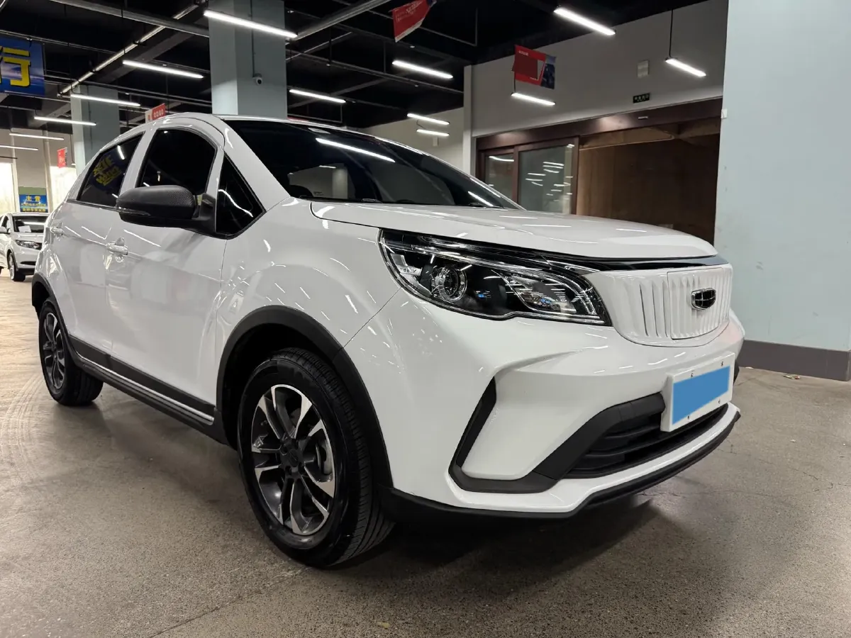 2021 Geometry EX3 BEV 37.23KWH,autocango,china used car exporter,china ev exporter,chinese used car exporter,chinese used ev exporter