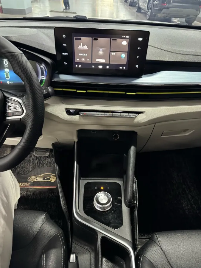 2021 Geometry EX3 BEV 37.23KWH,autocango,china used car exporter,china ev exporter,chinese used car exporter,chinese used ev exporter