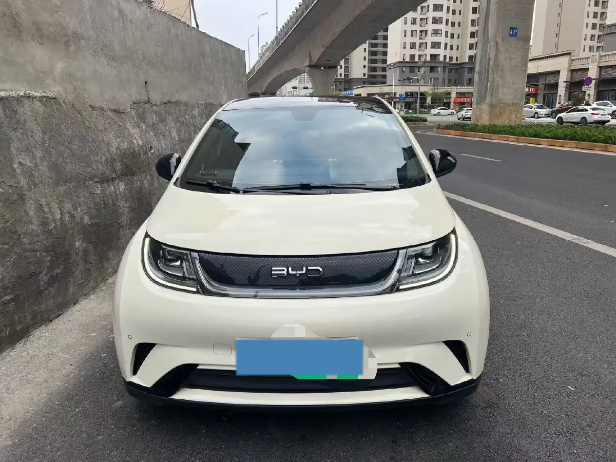2024 BYD Dolphin BEV 44.928KWH,autocango,china used car exporter,china ev exporter,chinese used car exporter,chinese used ev exporter