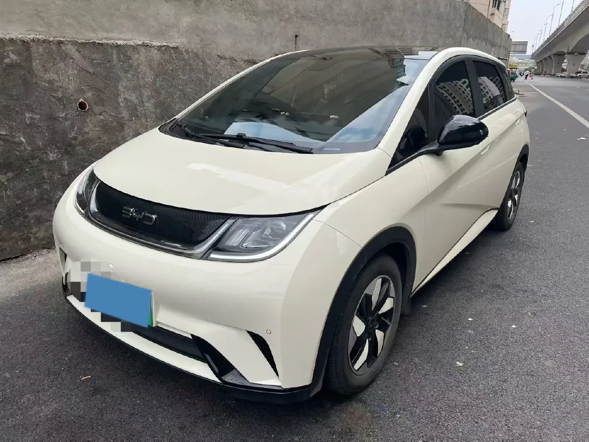 2024 BYD Dolphin BEV 44.928KWH,autocango,china used car exporter,china ev exporter,chinese used car exporter,chinese used ev exporter