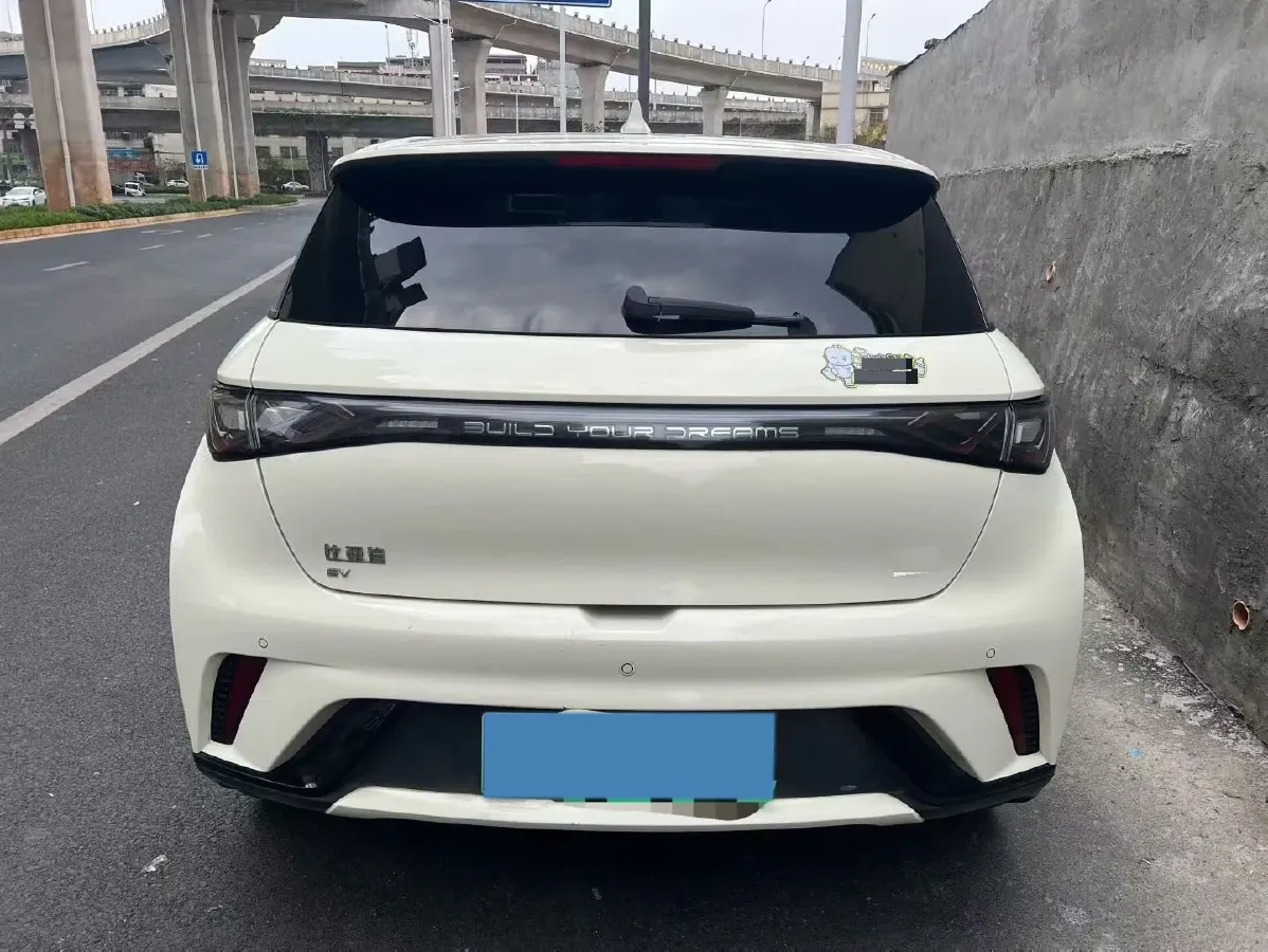2024 BYD Dolphin BEV 44.928KWH,autocango,china used car exporter,china ev exporter,chinese used car exporter,chinese used ev exporter