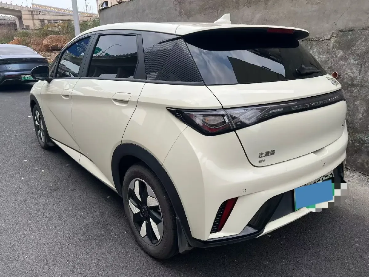 2024 BYD Dolphin BEV 44.928KWH,autocango,china used car exporter,china ev exporter,chinese used car exporter,chinese used ev exporter