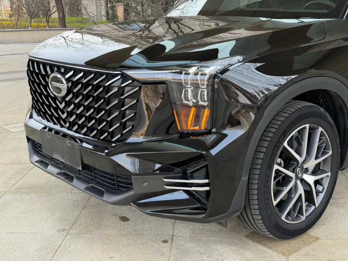 2022 GAC Trumpchi GS8 2.0T 252HP L4 8AT,autocango,china used car exporter,china ev exporter,chinese used car exporter,chinese used ev exporter