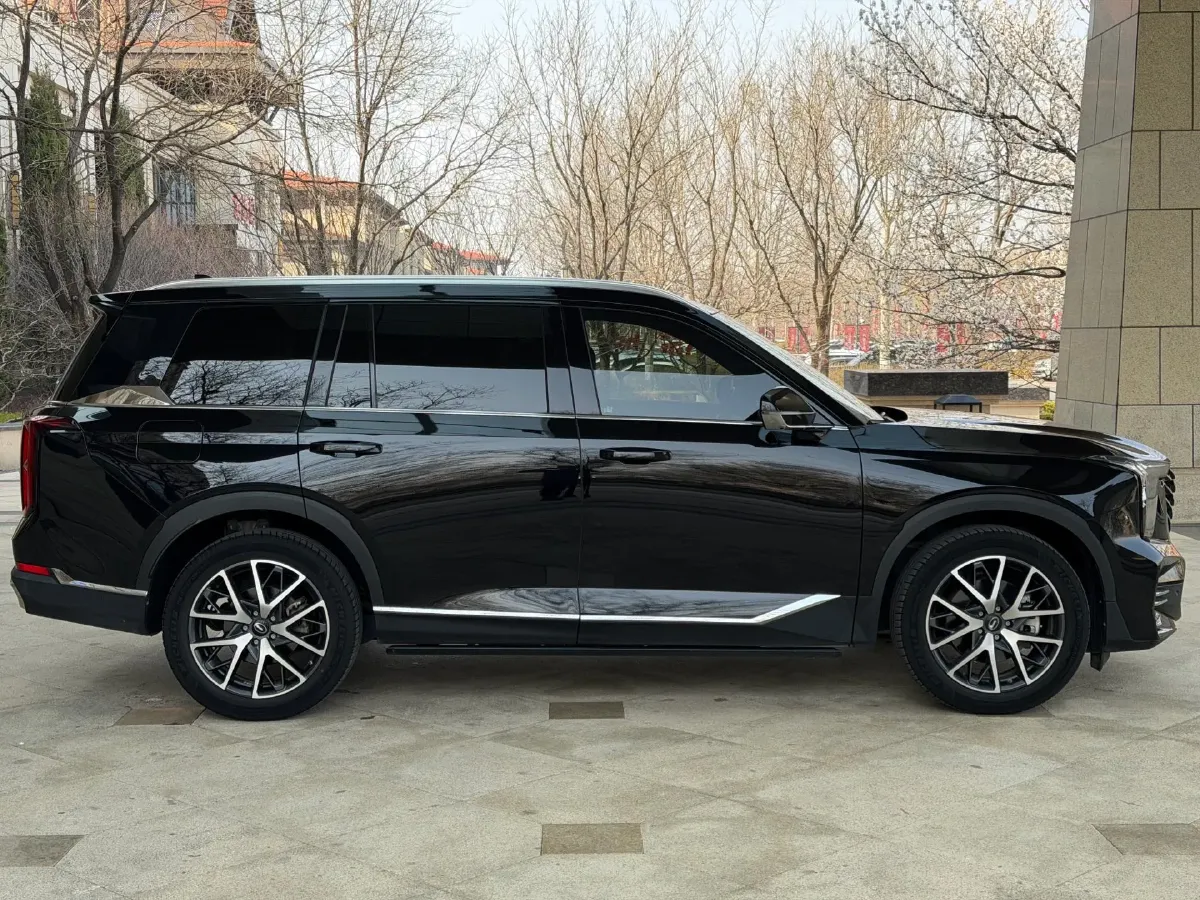 2022 GAC Trumpchi GS8 2.0T 252HP L4 8AT,autocango,china used car exporter,china ev exporter,chinese used car exporter,chinese used ev exporter