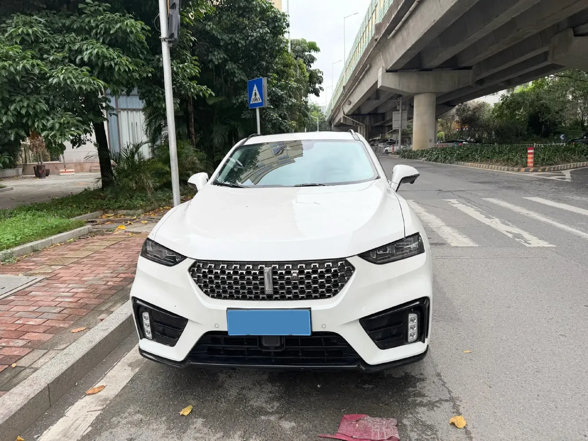 2020 WEY VV7 2.0T 227HP L4 7DCT,autocango,china used car exporter,china ev exporter,chinese used car exporter,chinese used ev exporter