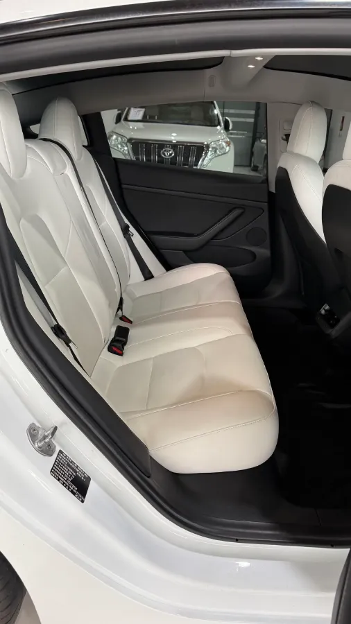2021 Tesla Model 3 BEV 76.8KWH,autocango,china used car exporter,china ev exporter,chinese used car exporter,chinese used ev exporter