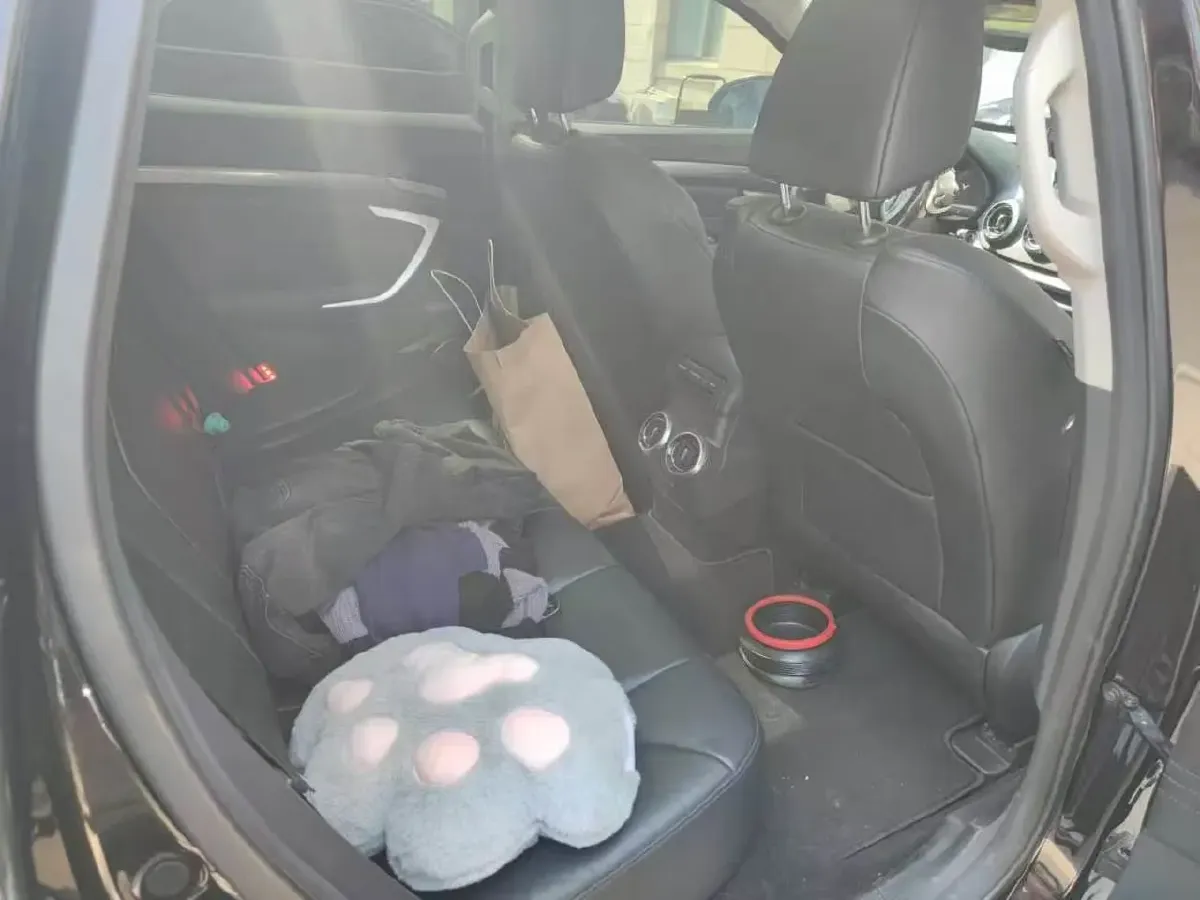 2017 WEY VV7 2.0T 234HP L4 7DCT,autocango,china used car exporter,china ev exporter,chinese used car exporter,chinese used ev exporter