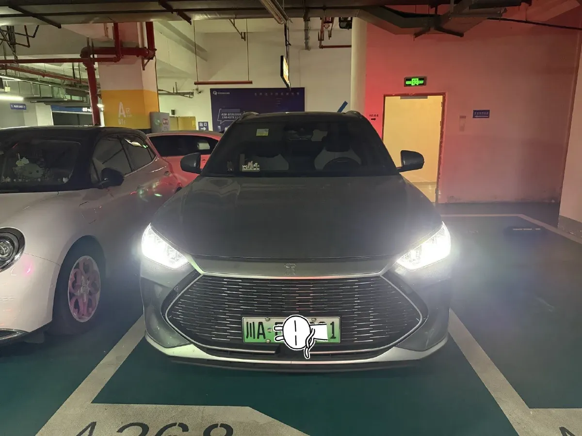 2021 SRM Sea Lion EV BEV 41.86KWH,autocango,china used car exporter,china ev exporter,chinese used car exporter,chinese used ev exporter