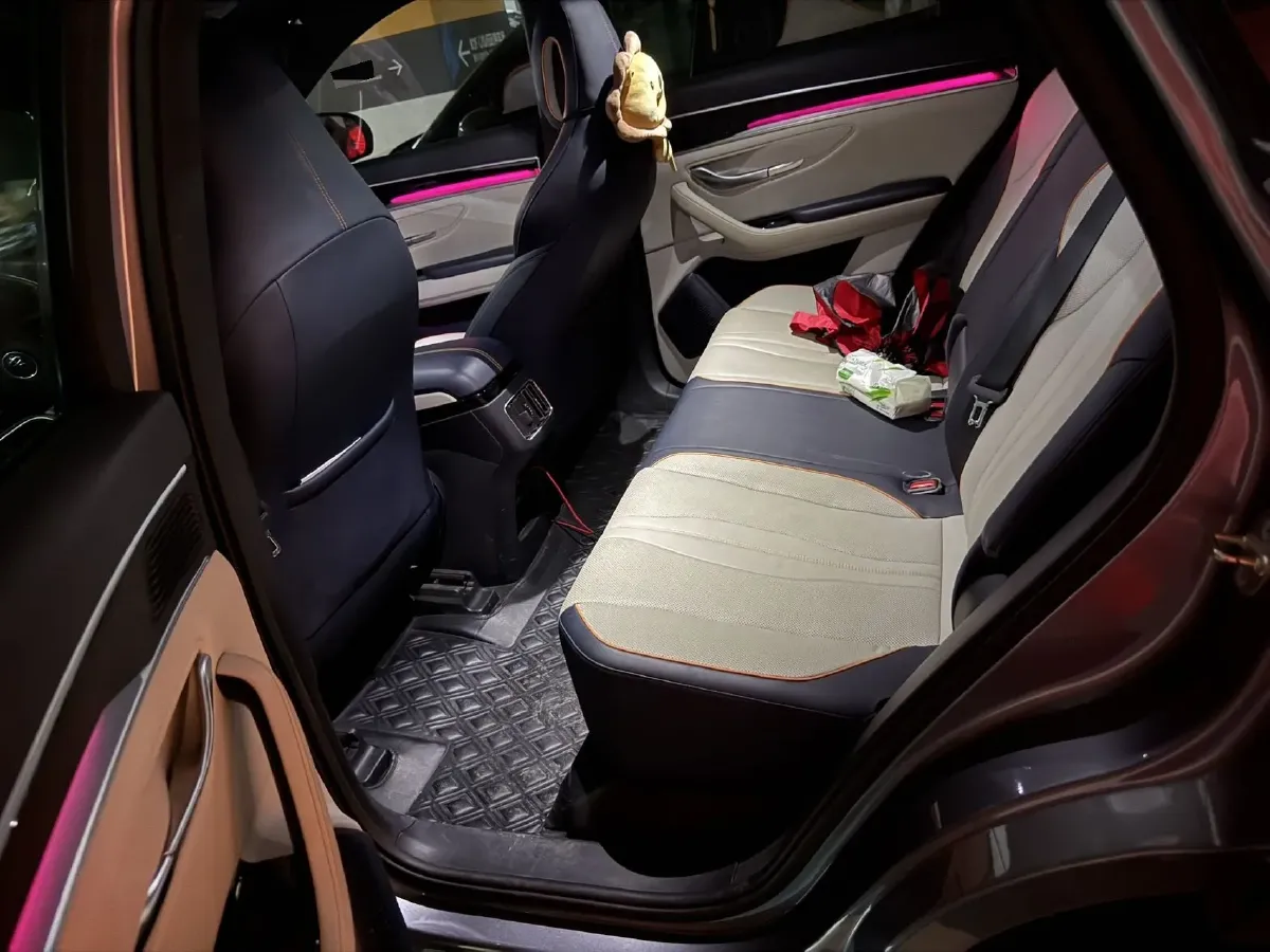 2021 SRM Sea Lion EV BEV 41.86KWH,autocango,china used car exporter,china ev exporter,chinese used car exporter,chinese used ev exporter