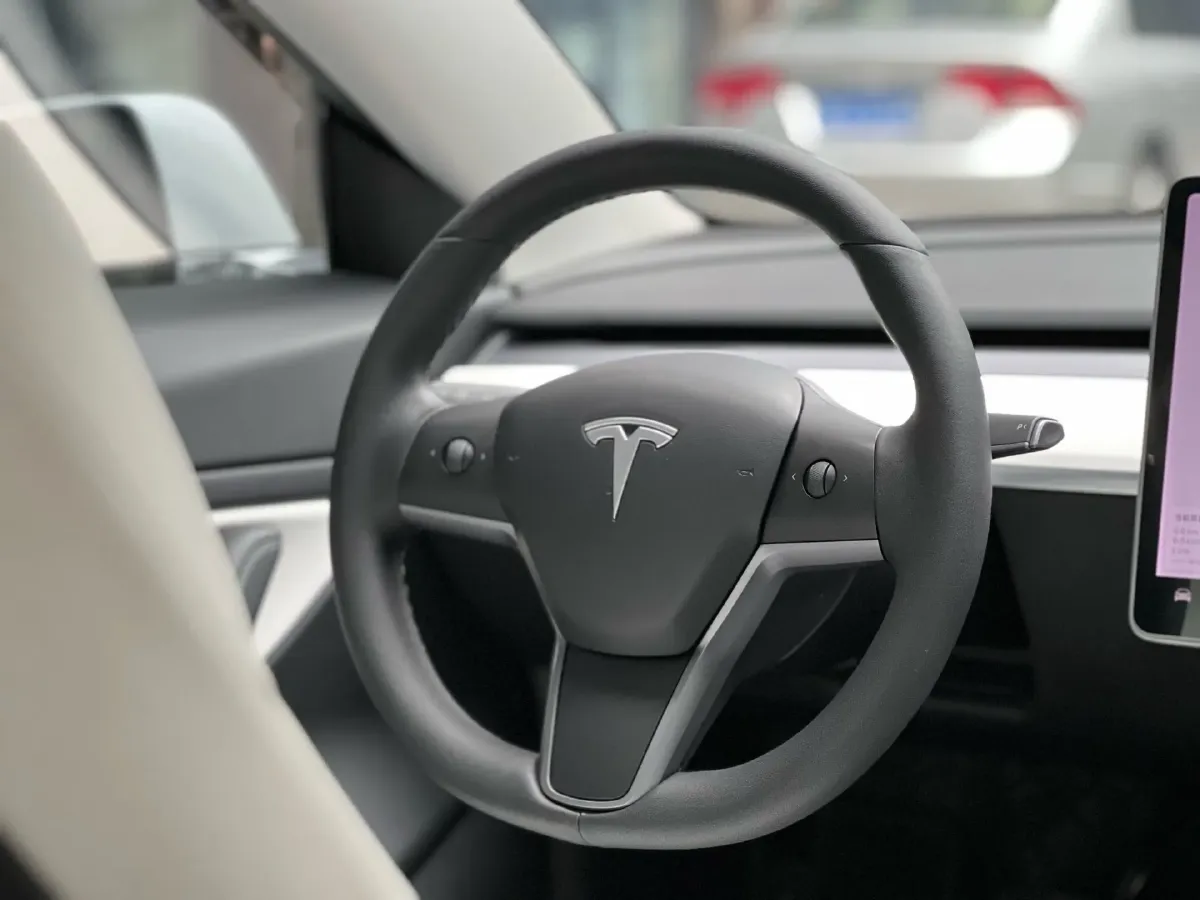 2020 Tesla Model 3 BEV 76.8KWH,autocango,china used car exporter,china ev exporter,chinese used car exporter,chinese used ev exporter