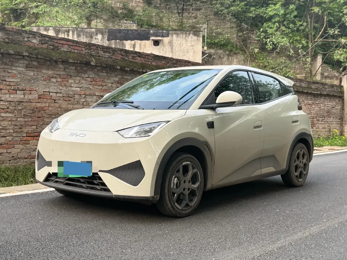 2025 BYD Seagull BEV 30.08KWH,autocango,china used car exporter,china ev exporter,chinese used car exporter,chinese used ev exporter