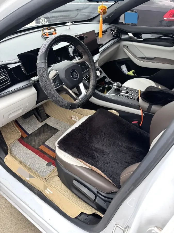 2024 BYD Qin Plus 1.5L 110HP L4 E-CVT PHEV 8.32KWH,autocango,china used car exporter,china ev exporter,chinese used car exporter,chinese used ev exporter