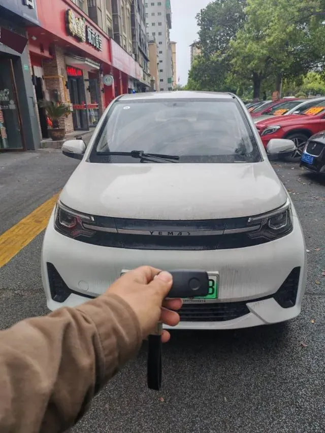2021 Levdeo Mango BEV 29.44KWH,autocango,china used car exporter,china ev exporter,chinese used car exporter,chinese used ev exporter