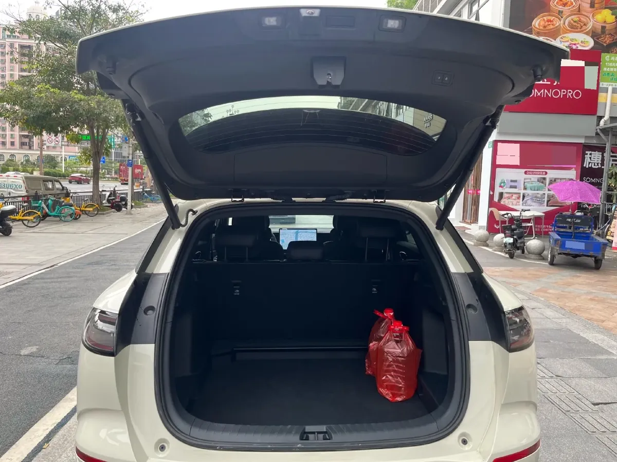 2025 BYD Sea Lion 06 BEV,autocango,china used car exporter,china ev exporter,chinese used car exporter,chinese used ev exporter