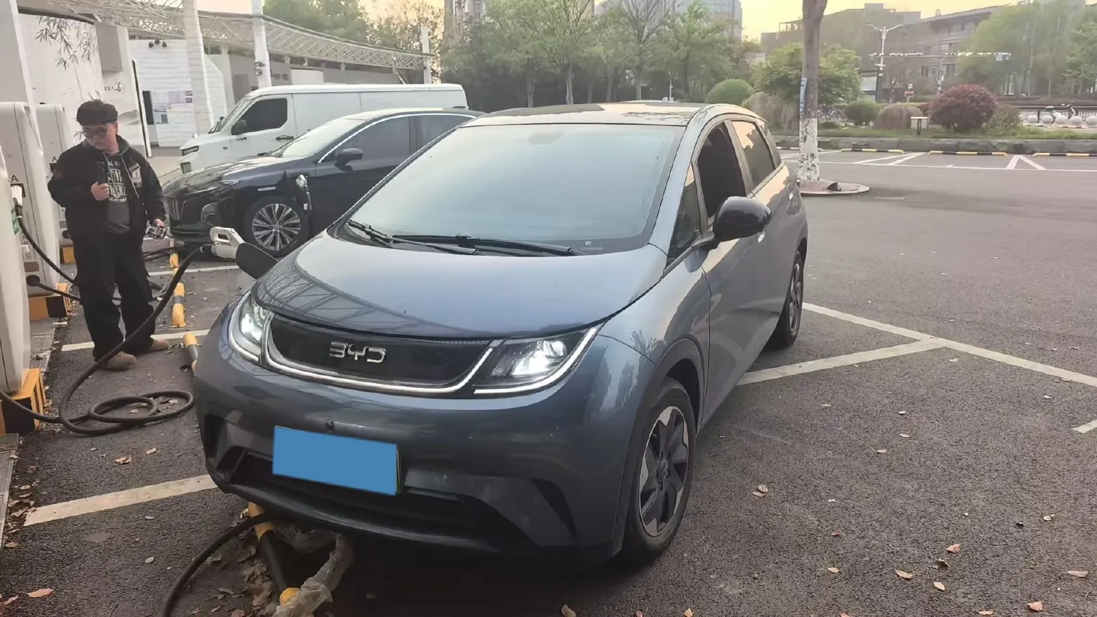 2025 BYD Dolphin BEV 44.928KWH,autocango,china used car exporter,china ev exporter,chinese used car exporter,chinese used ev exporter
