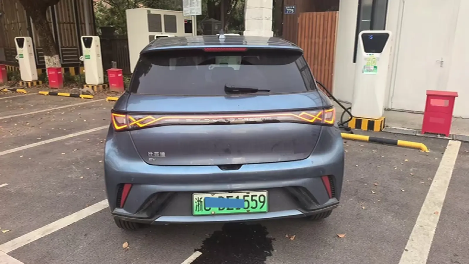 2025 BYD Dolphin BEV 44.928KWH,autocango,china used car exporter,china ev exporter,chinese used car exporter,chinese used ev exporter
