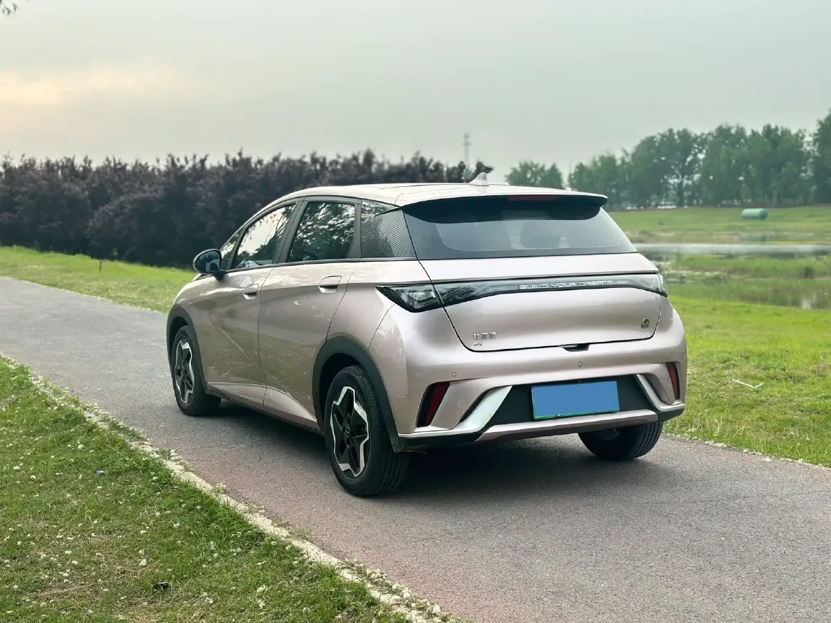 2021 BYD Yuan Pro BEV 50.1KWH,autocango,china used car exporter,china ev exporter,chinese used car exporter,chinese used ev exporter