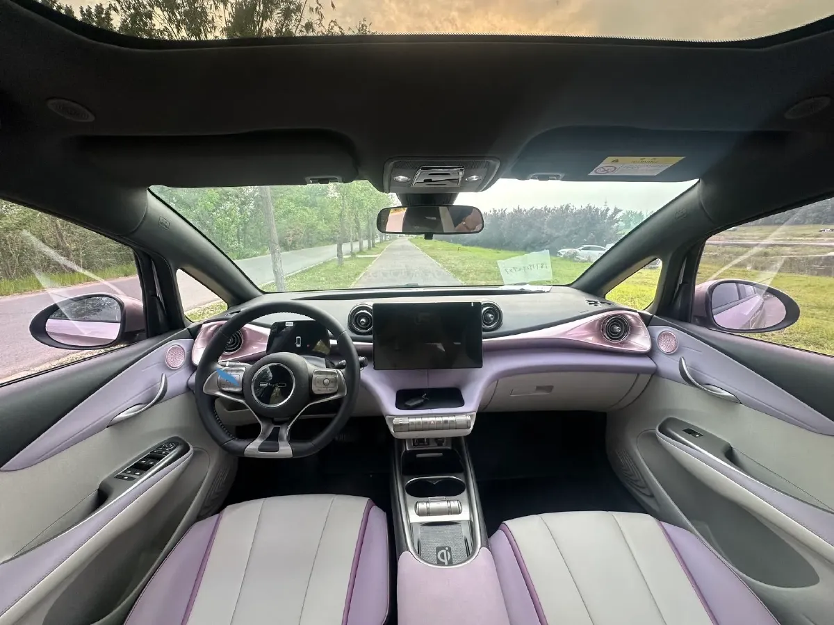 2021 BYD Yuan Pro BEV 50.1KWH,autocango,china used car exporter,china ev exporter,chinese used car exporter,chinese used ev exporter