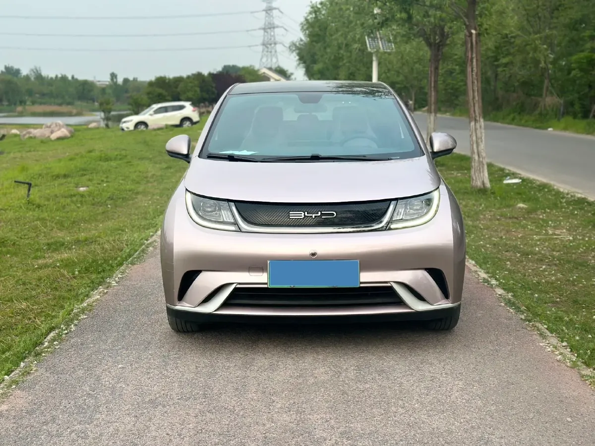2021 BYD Yuan Pro BEV 50.1KWH,autocango,china used car exporter,china ev exporter,chinese used car exporter,chinese used ev exporter