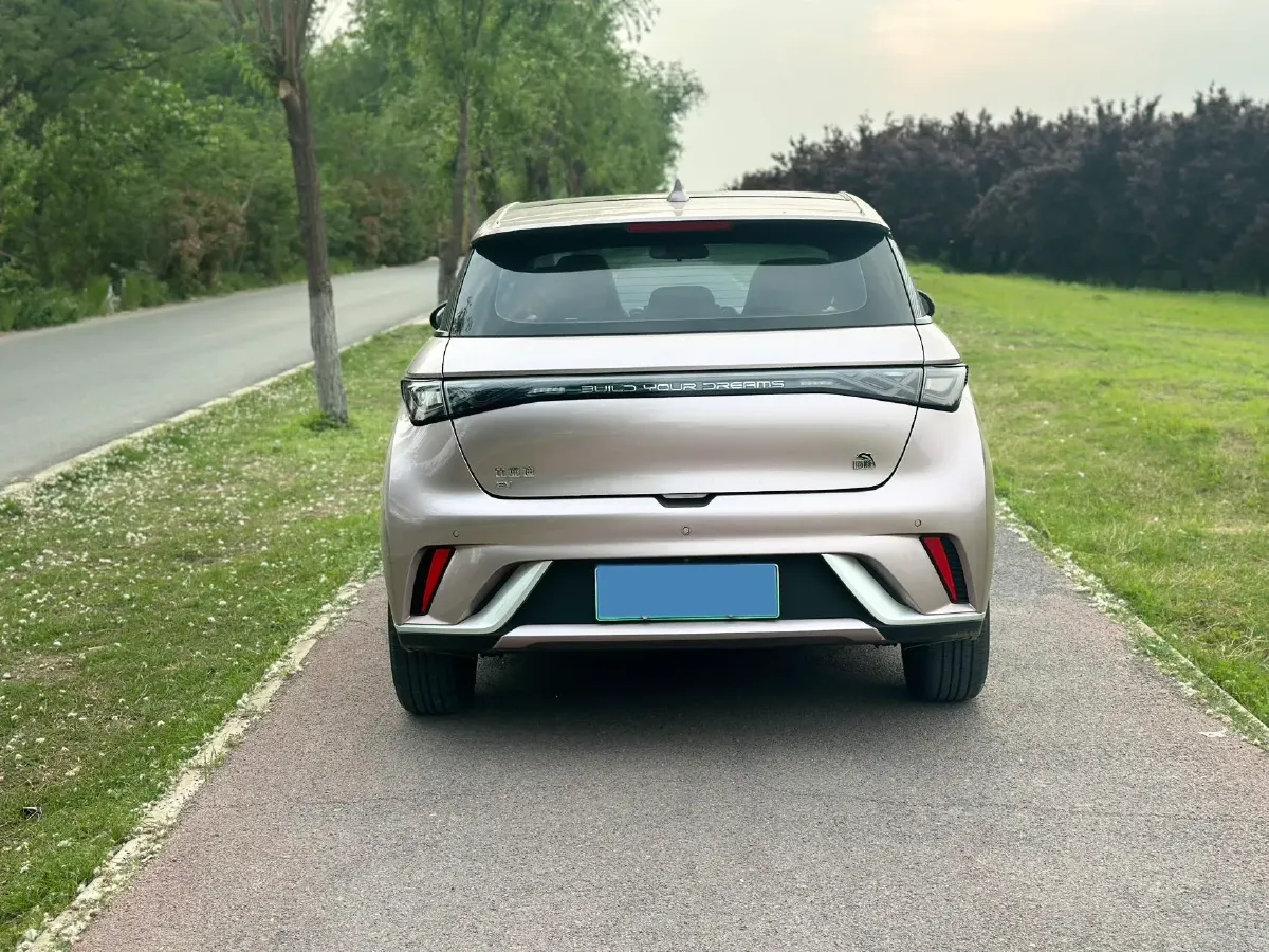 2021 BYD Yuan Pro BEV 50.1KWH,autocango,china used car exporter,china ev exporter,chinese used car exporter,chinese used ev exporter