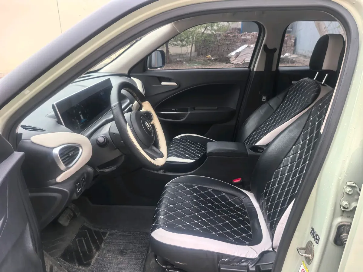 2020 Ora WhiteCat BEV 29.4KWH,autocango,china used car exporter,china ev exporter,chinese used car exporter,chinese used ev exporter