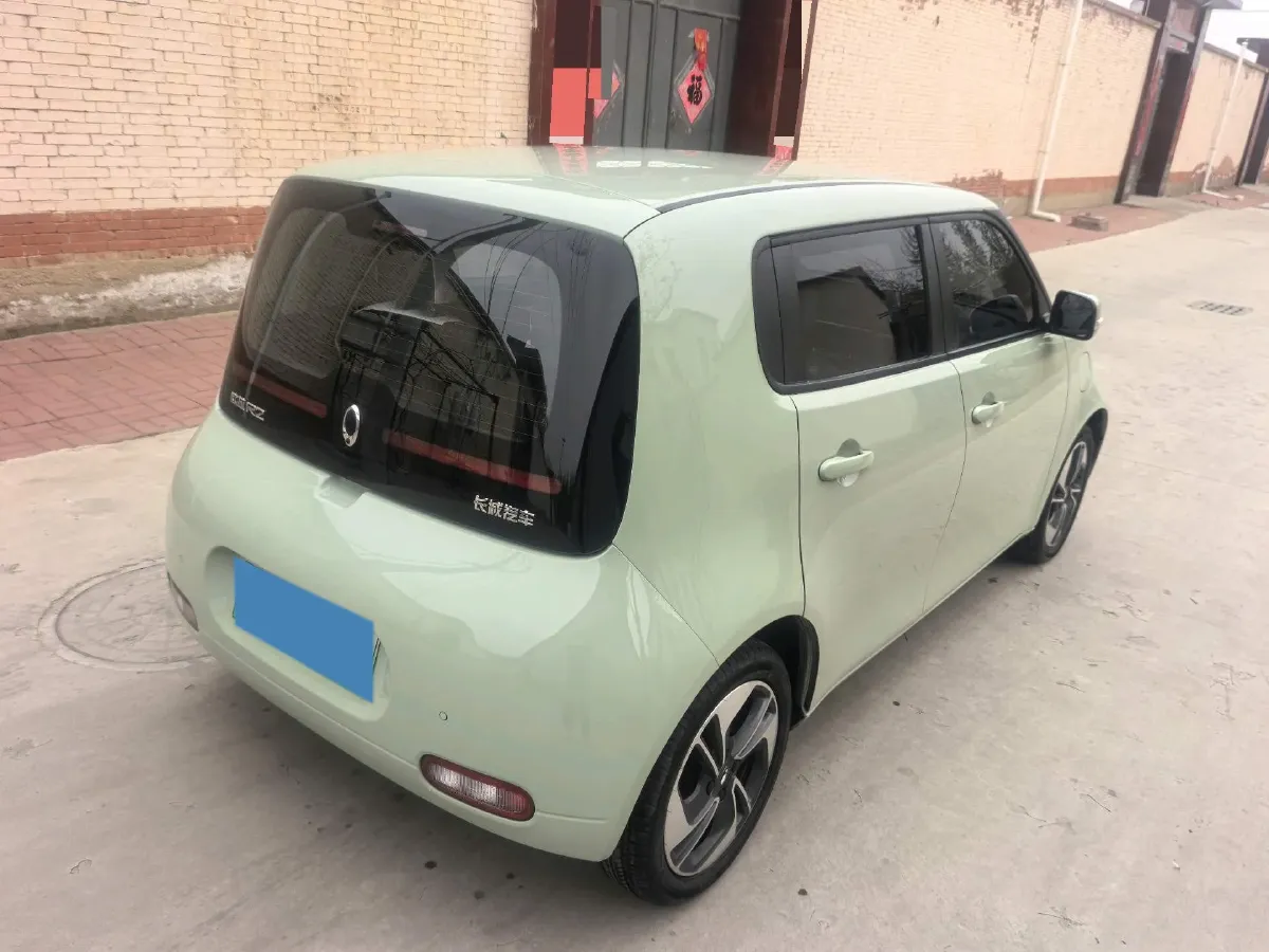 2020 Ora WhiteCat BEV 29.4KWH,autocango,china used car exporter,china ev exporter,chinese used car exporter,chinese used ev exporter