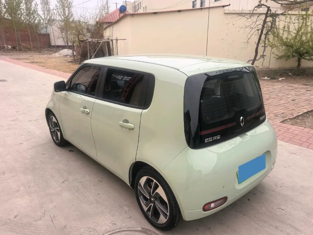 2020 Ora WhiteCat BEV 29.4KWH,autocango,china used car exporter,china ev exporter,chinese used car exporter,chinese used ev exporter