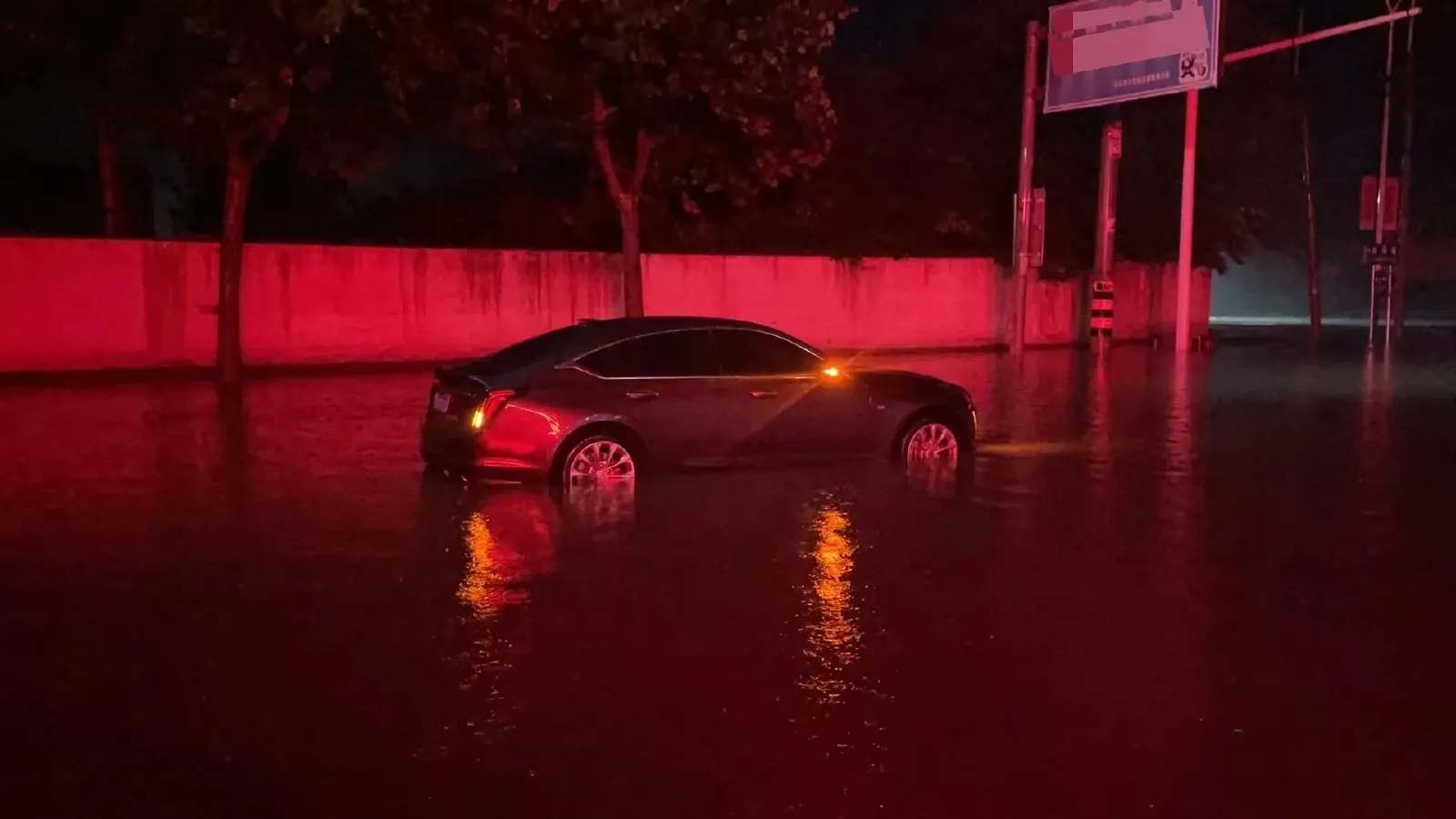 2021 Cadillac CT5 2.0T 237HP L4 10AT,autocango,china used car exporter,china ev exporter,chinese used car exporter,chinese used ev exporter