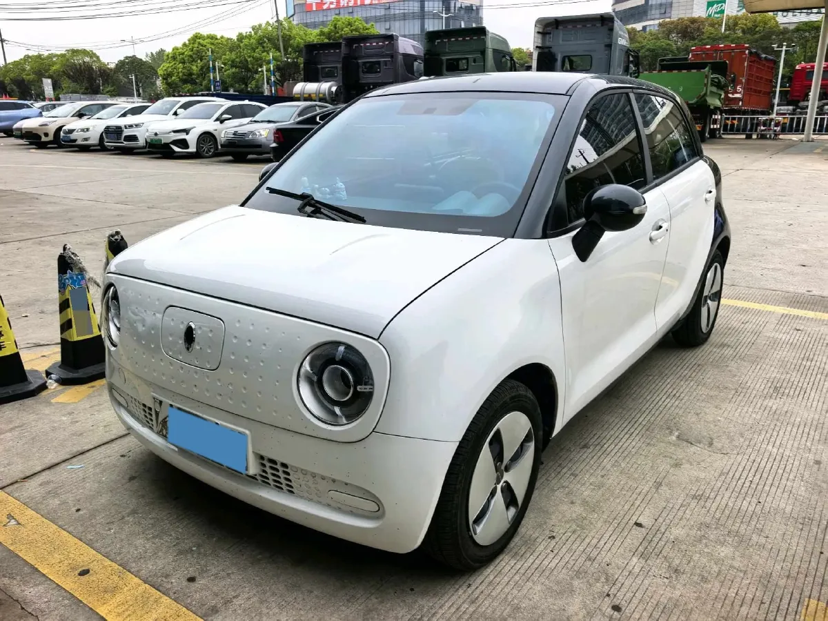 2021 Ora BlackCat BEV 28.5KWH,autocango,china used car exporter,china ev exporter,chinese used car exporter,chinese used ev exporter