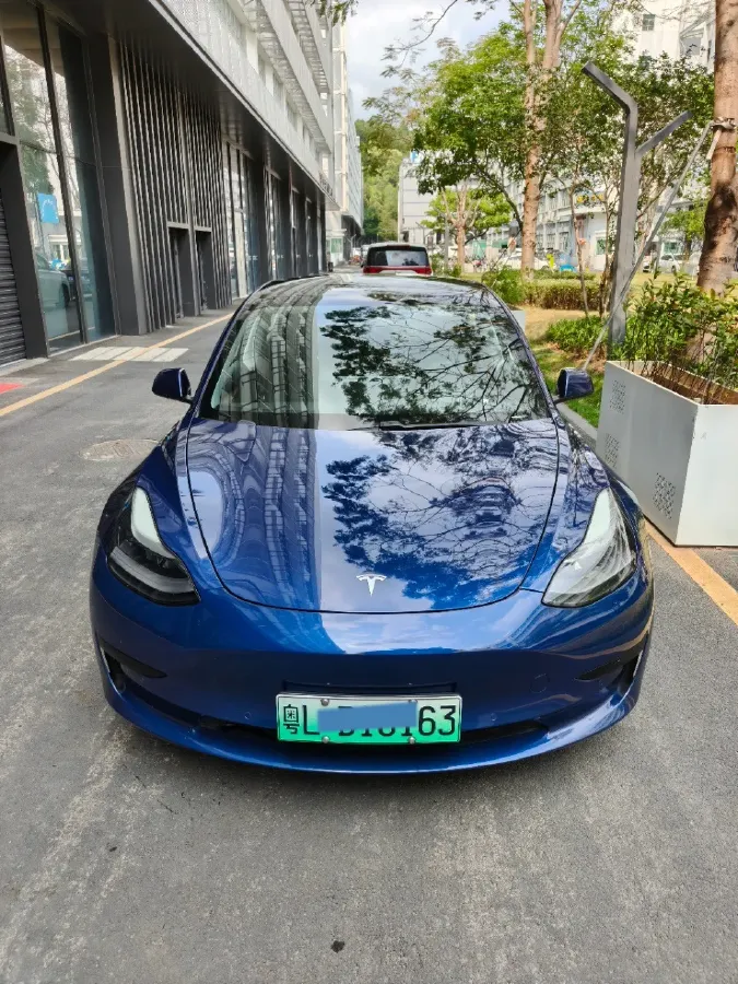 2021 Tesla Model 3 BEV 55KWH,autocango,china used car exporter,china ev exporter,chinese used car exporter,chinese used ev exporter