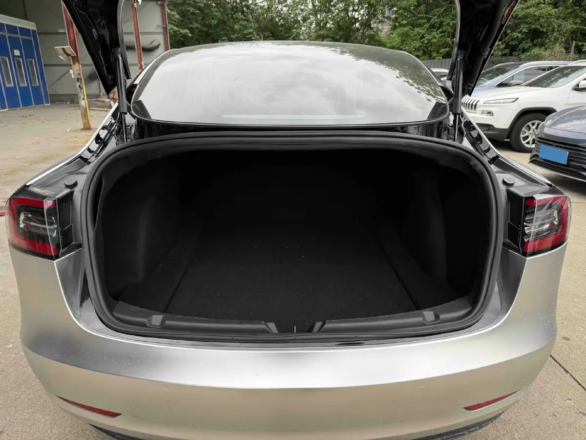 2020 Tesla Model 3 BEV 52KWH,autocango,china used car exporter,china ev exporter,chinese used car exporter,chinese used ev exporter