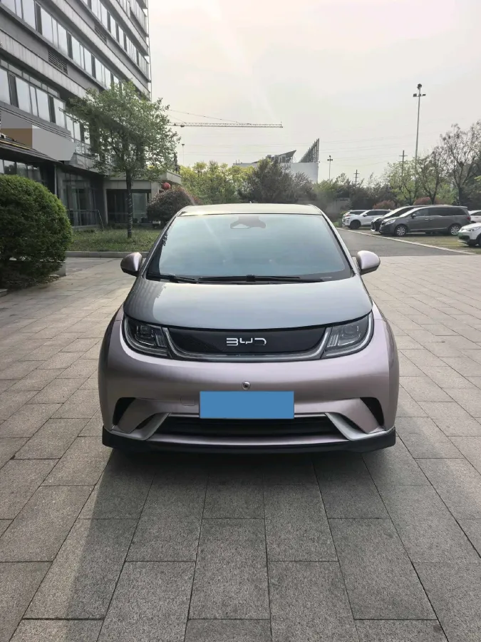 2021 BYD e2 BEV 43.2KWH,autocango,china used car exporter,china ev exporter,chinese used car exporter,chinese used ev exporter