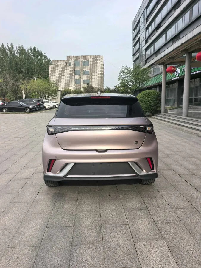 2021 BYD e2 BEV 43.2KWH,autocango,china used car exporter,china ev exporter,chinese used car exporter,chinese used ev exporter