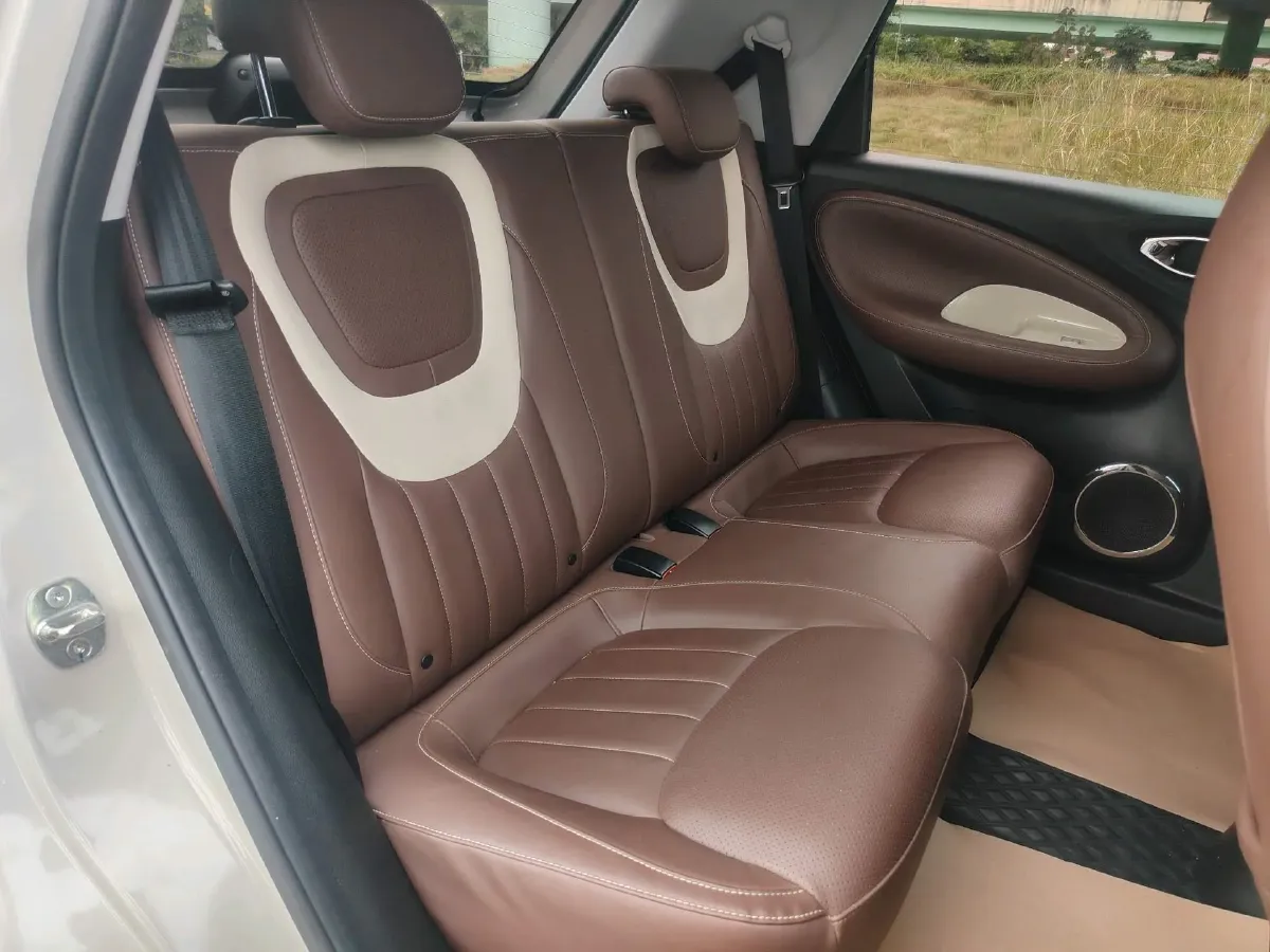 2023 WuLing BinGuo BEV 37.9KWH,autocango,china used car exporter,china ev exporter,chinese used car exporter,chinese used ev exporter