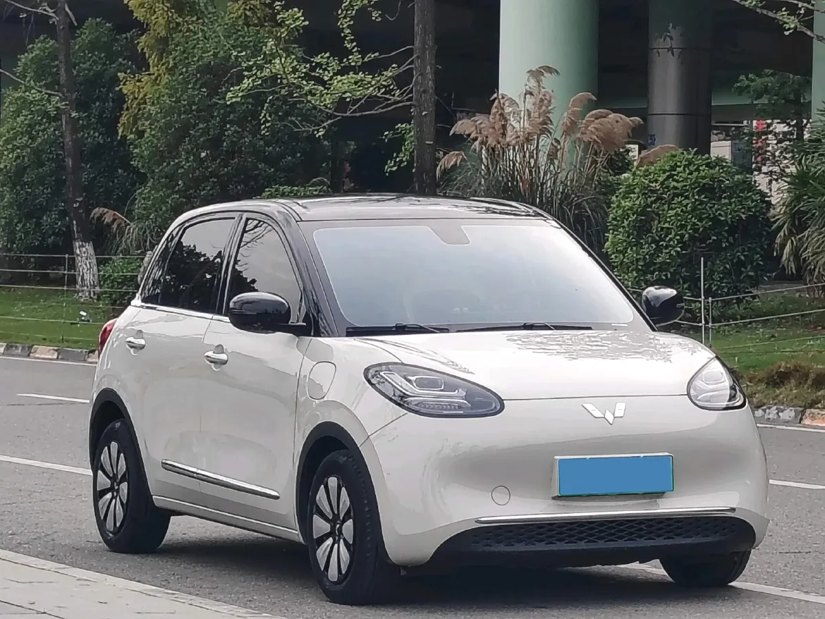 2023 WuLing BinGuo BEV 37.9KWH,autocango,china used car exporter,china ev exporter,chinese used car exporter,chinese used ev exporter