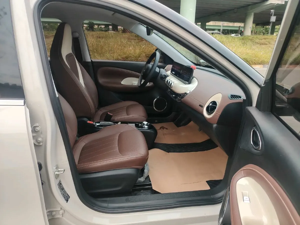 2023 WuLing BinGuo BEV 37.9KWH,autocango,china used car exporter,china ev exporter,chinese used car exporter,chinese used ev exporter